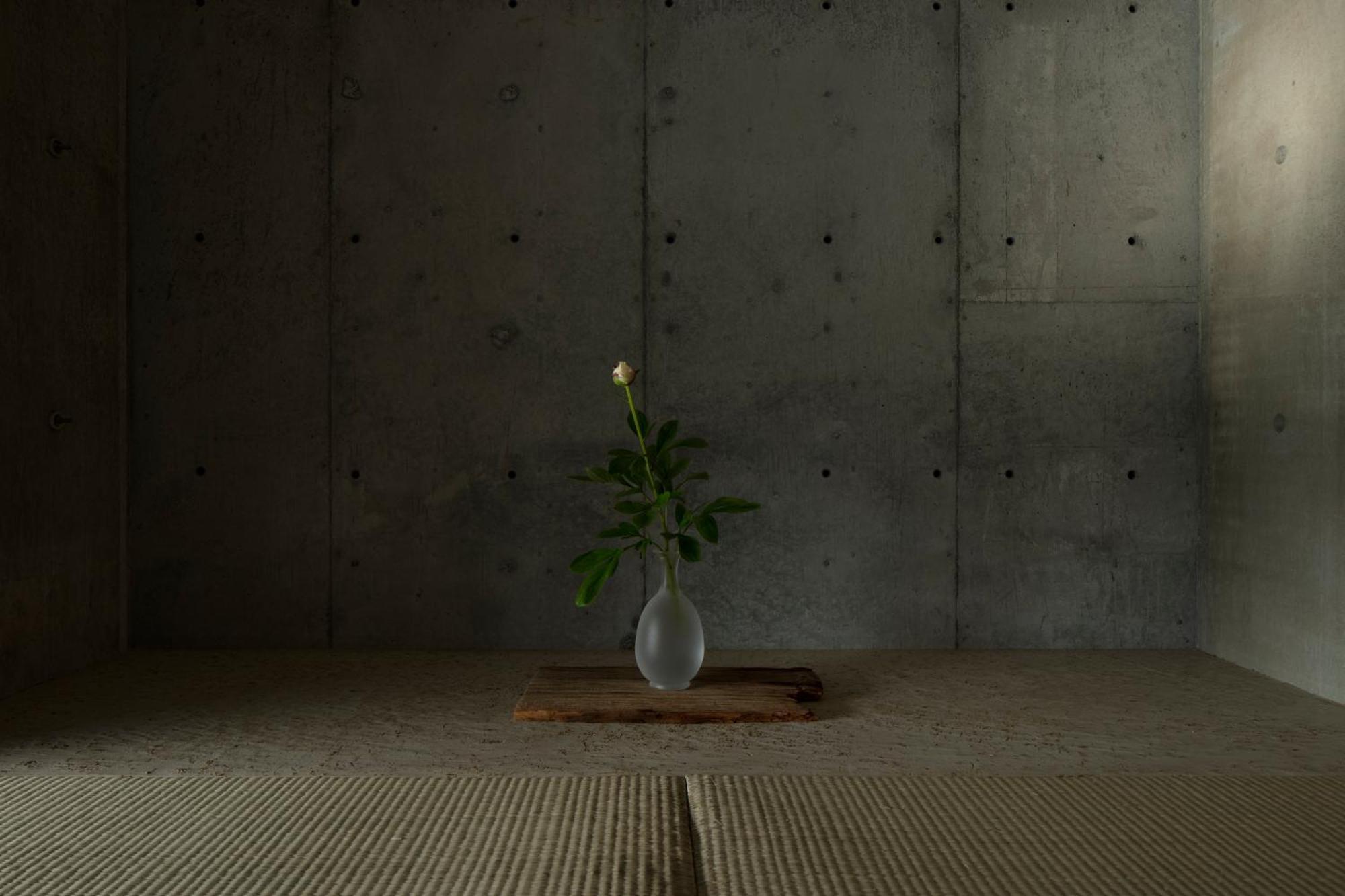 Kamohan Kyoto Room photo
